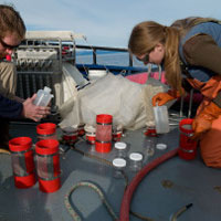 Montague Marine Research aboard the R/V Montague